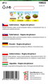 Salát hlávkový ledový - Regina dei ghiacci