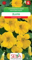 Lichořeřišnice - žlutá