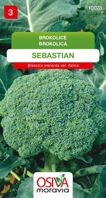 Brokolice - Sebastian