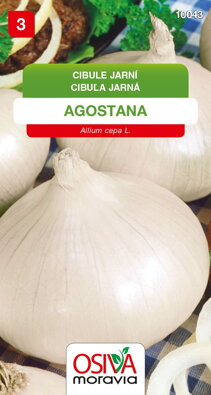 Cibule kuchyňská - Agostana