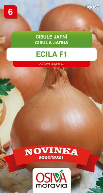Cibule kuchyňská - Ecila F1
