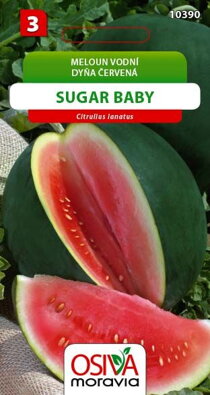 Meloun vodní - Sugar Baby