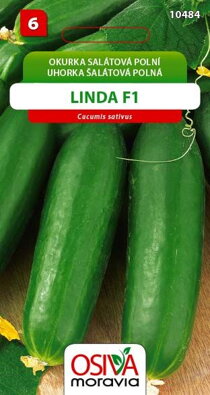 Okurka salátová - Linda F1