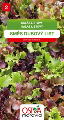 Salát listový - Směs dubový list