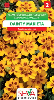 Aksamitník rozkladitý jednoduchý - Dainty Marieta