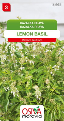 Bazalka pravá - Lemon Basil