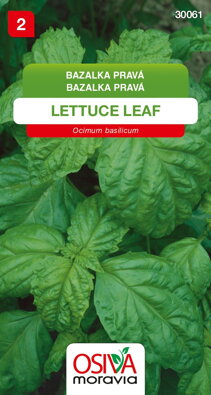 Bazalka pravá - Lettuce Leaf