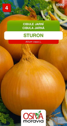 Cibule kuchyňská - Sturon