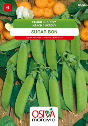 Hrách zahradní - Sugar Bon