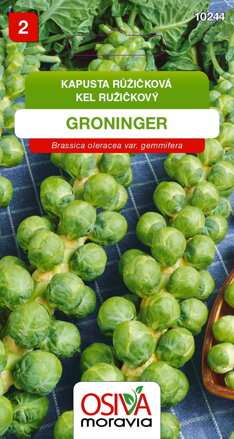 Kapusta růžičková - Groninger
