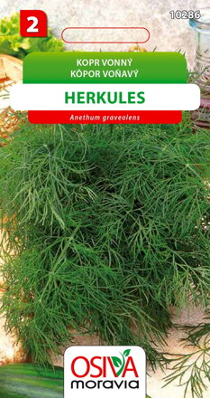 Kopr vonný - Herkules