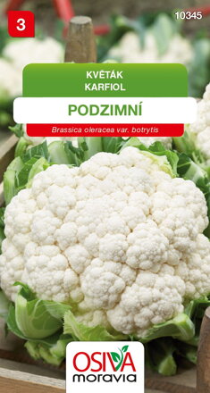 Květák podzimní