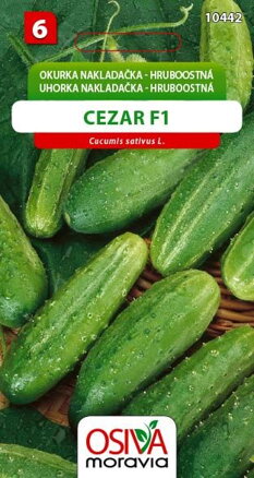 Okurka nakladačka - Cezar F1