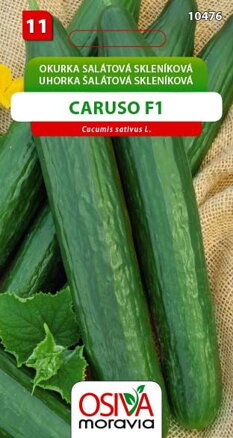 Okurka salátová - Caruso F1