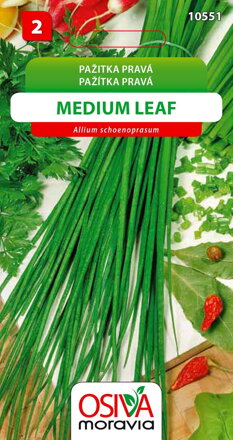 Pažitka pravá - Medium Leaf