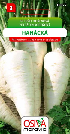Petržel kořenová - Hanácká