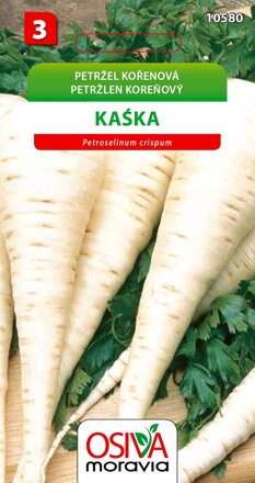 Petržel kořenová - Kaska