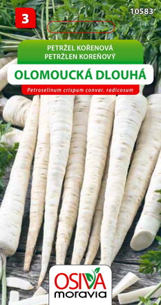 Petržel kořenová - Olomoucká dlouhá