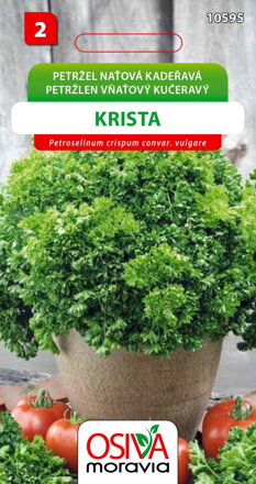 Petržel naťová - Krista