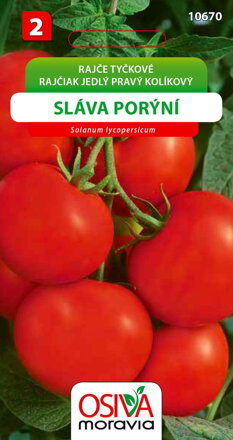 Rajče tyčkové - Sláva Porýní