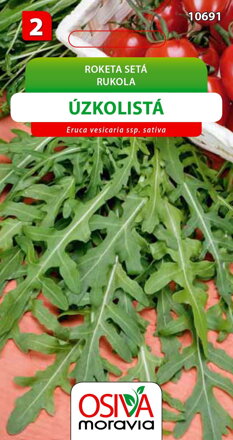 Roketa setá úzkolistá