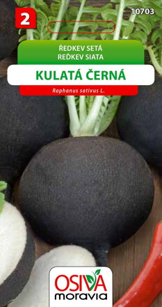 Ředkev - Kulatá černá