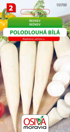 Ředkev - Polodlouhá bílá
