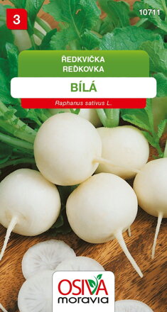 Ředkvička - bílá