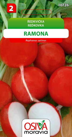 Ředkvička - Ramona