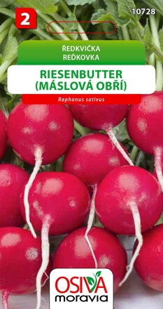 Ředkvička - Riesenbutter (Máslová obří)