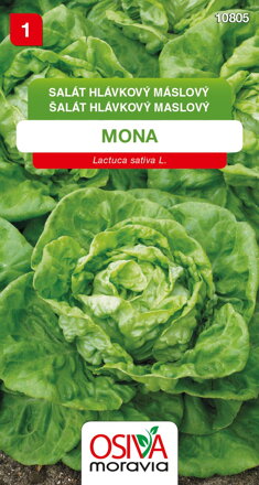 Salát hlávkový - Mona