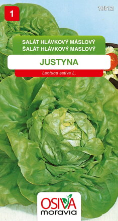 Salát hlávkový - Justyna