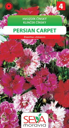 Hvozdík čínský - Persian Carpet - směs