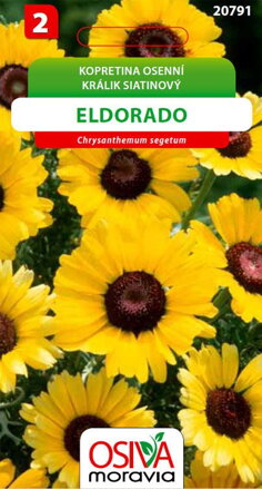 Kopretina osenní - Eldorado - žlutá