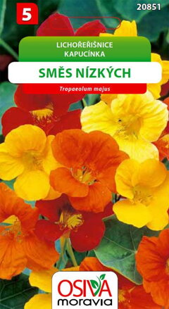 Lichořeřišnice - nízké - směs