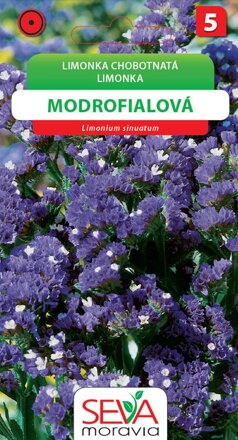 Limonka chobotnatá - modrofialová