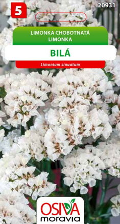 Limonka chobotnatá - bílá