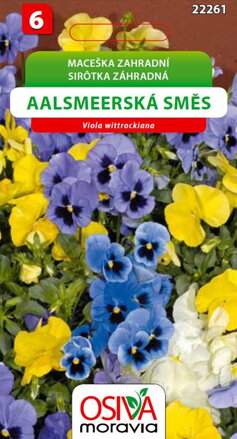 Maceška zahradní - Aalsmeerská směs - směs