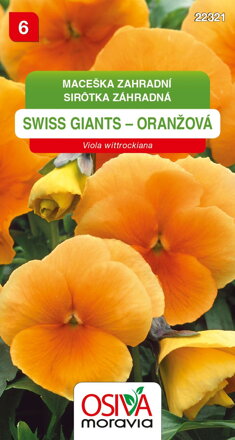 Maceška zahradní - Swiss Giants - oranžová