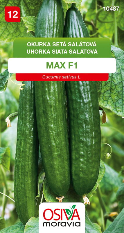 Okurka salátová - Max F1