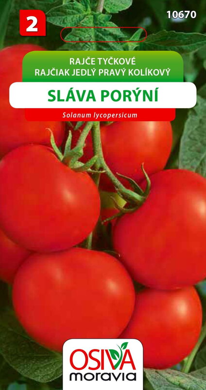 Rajče tyčkové - Sláva Porýní Rajče tyčkové - Sláva Porýní