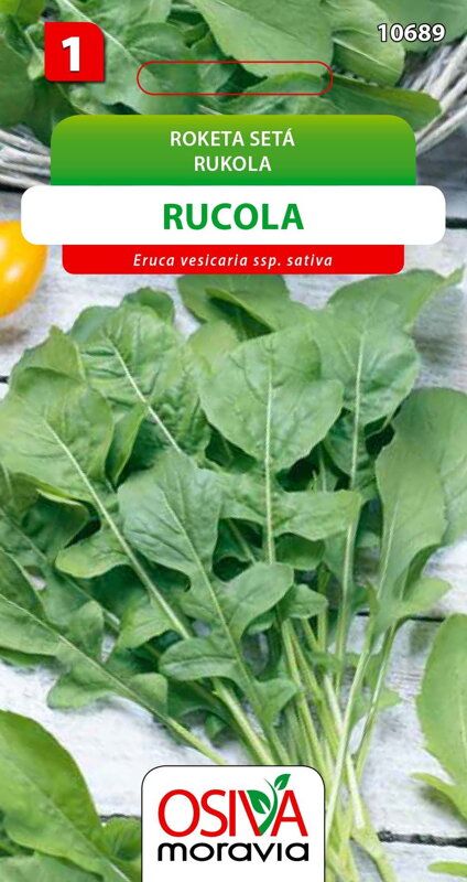 Roketa setá Roketa setá