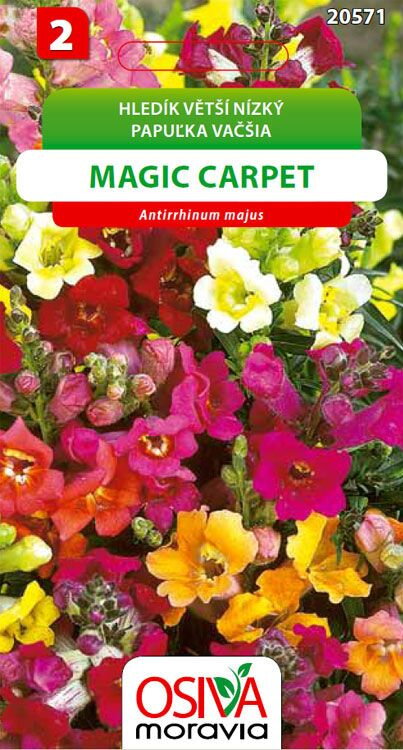 Hledík větší nízký - Magic Carpet - směs barev
